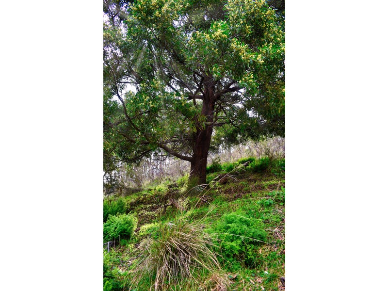 Picturesque Acreage in the Pyrenees 14