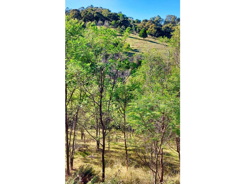 Picturesque Acreage in the Pyrenees 16