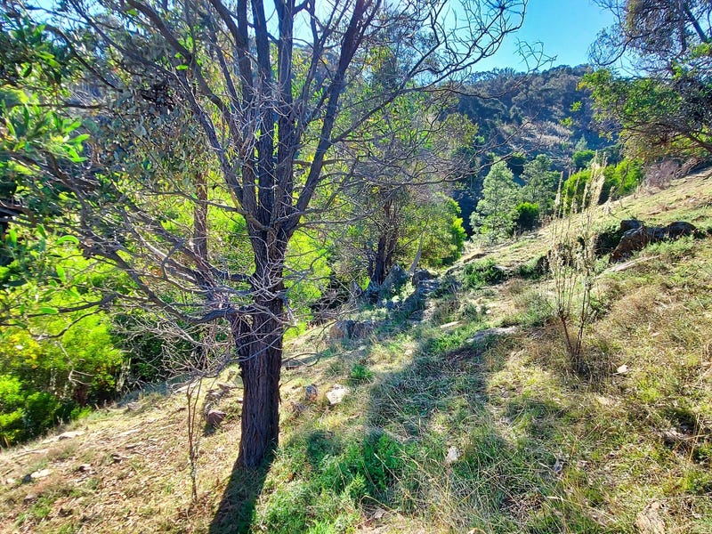 Picturesque Acreage in the Pyrenees 17