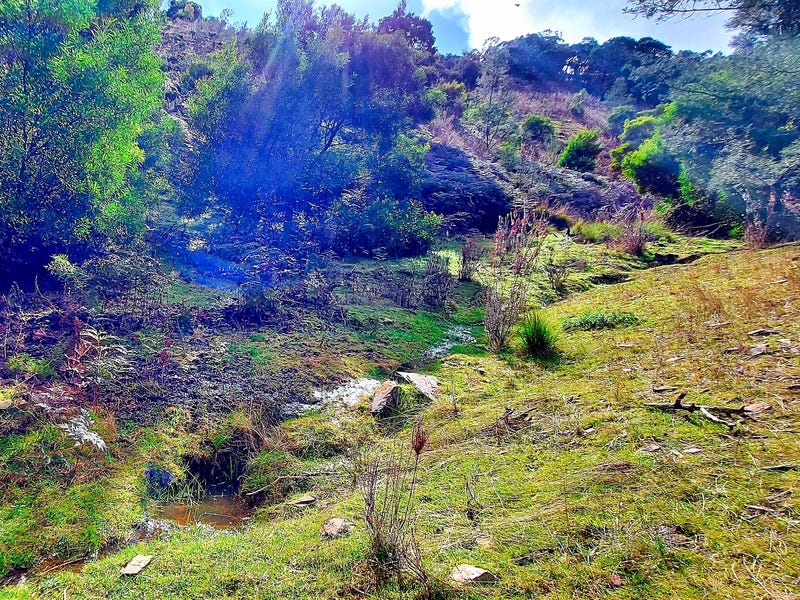 Picturesque Acreage in the Pyrenees 22