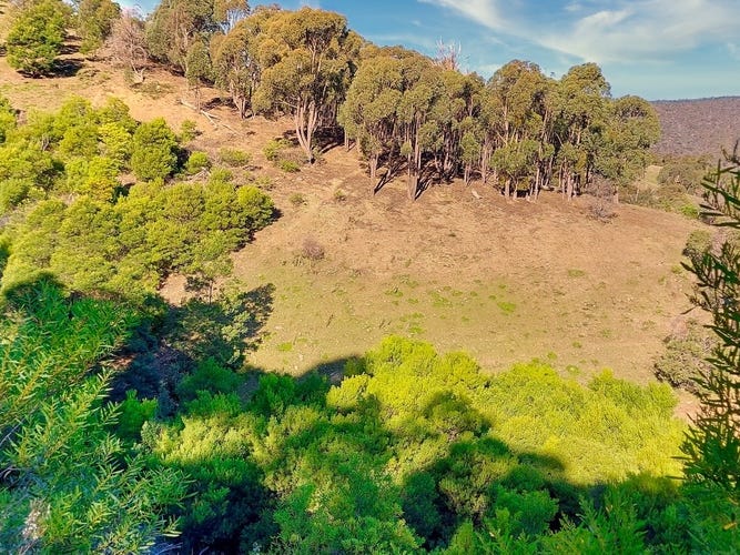 Picturesque Acreage in the Pyrenees 23