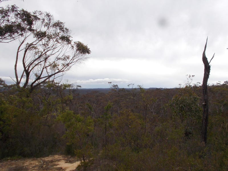 Lawson Land blue mountains 2