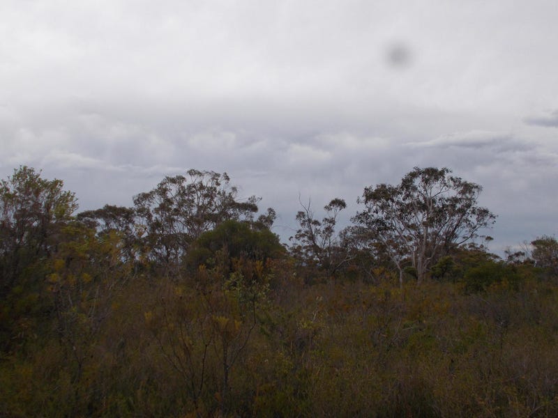 Lawson Land blue mountains 3