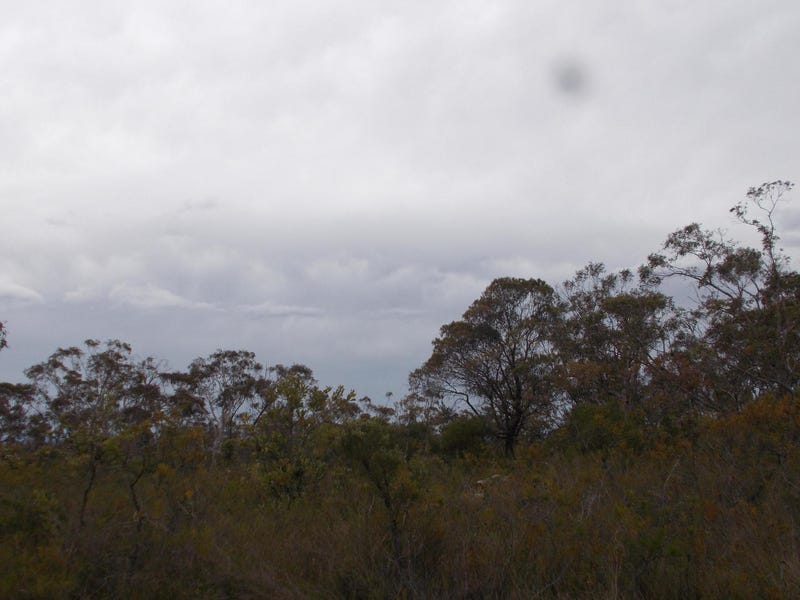 Lawson Land blue mountains 4