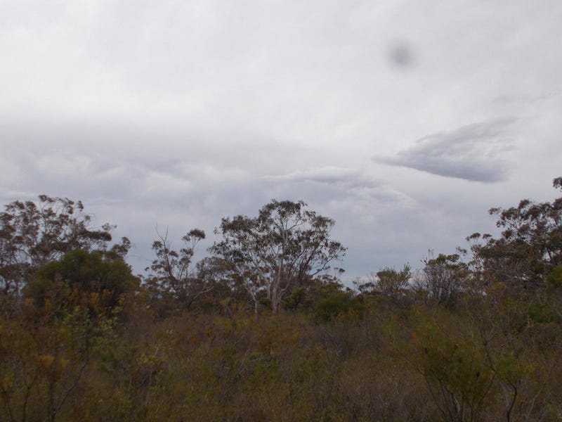 Lawson Land blue mountains 5