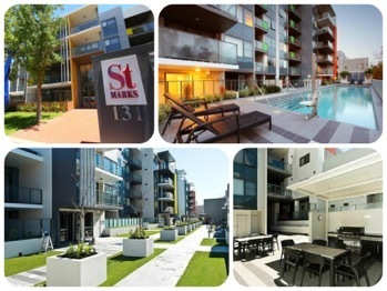 Luxury Apartment