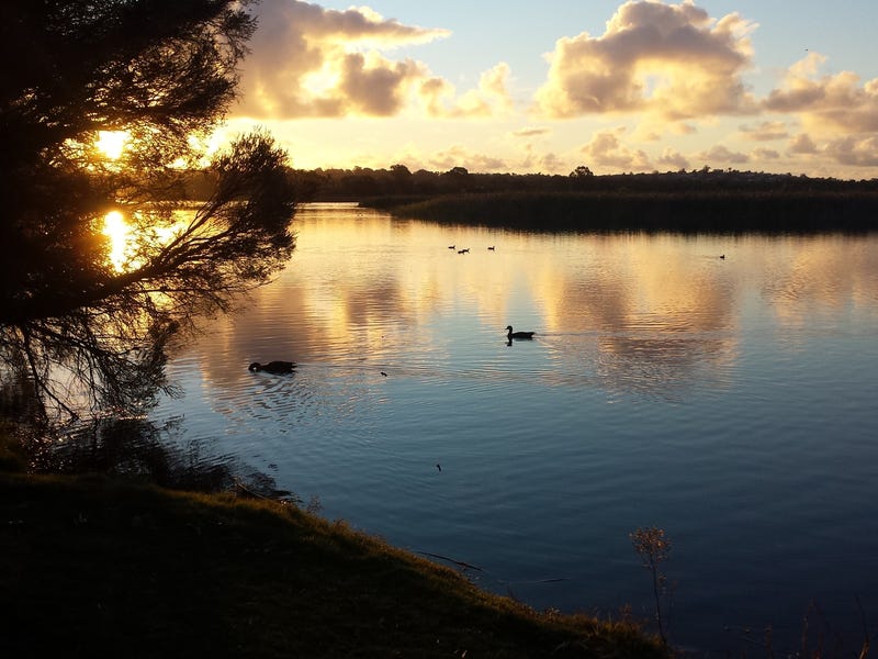 Peaceful unit with stunning Northerly 14
