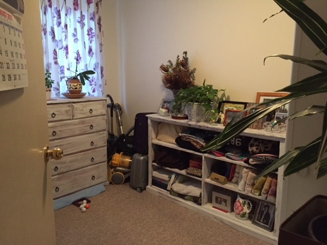 Elevated Ground Floor 4