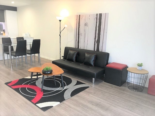 Modern Spacious Fully Furnished 2 4