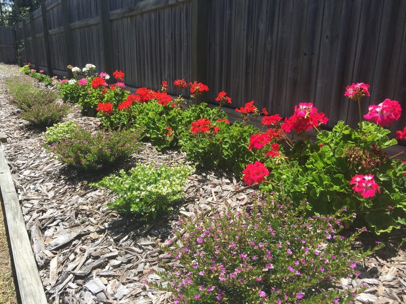Pet Friendly! Close to Pumicestone 15