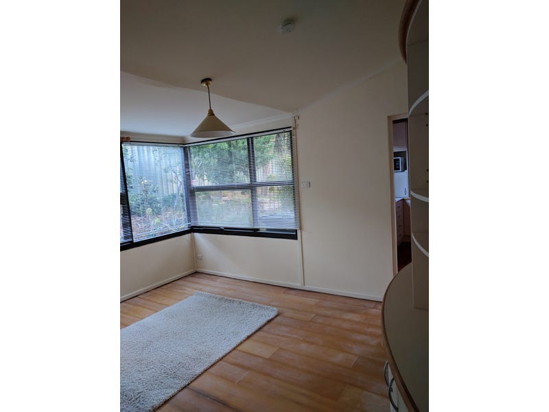 Lovely Eastern Suburbs family home- 11