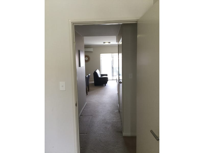 Two bedroom furnished apartment for 8