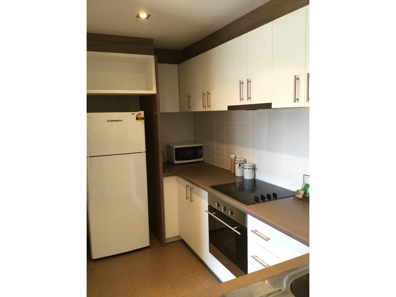 Two bedroom furnished apartment for 11