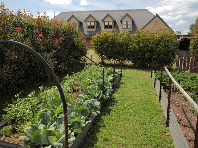 Amazing Horse/Pet Friendly 4/5Br Farm 9