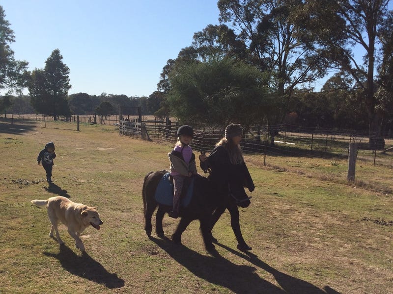 Amazing Horse/Pet Friendly 4/5Br Farm 10