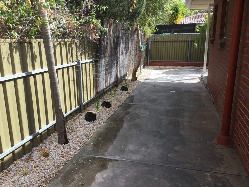 Large 2 bedroom unit for 6