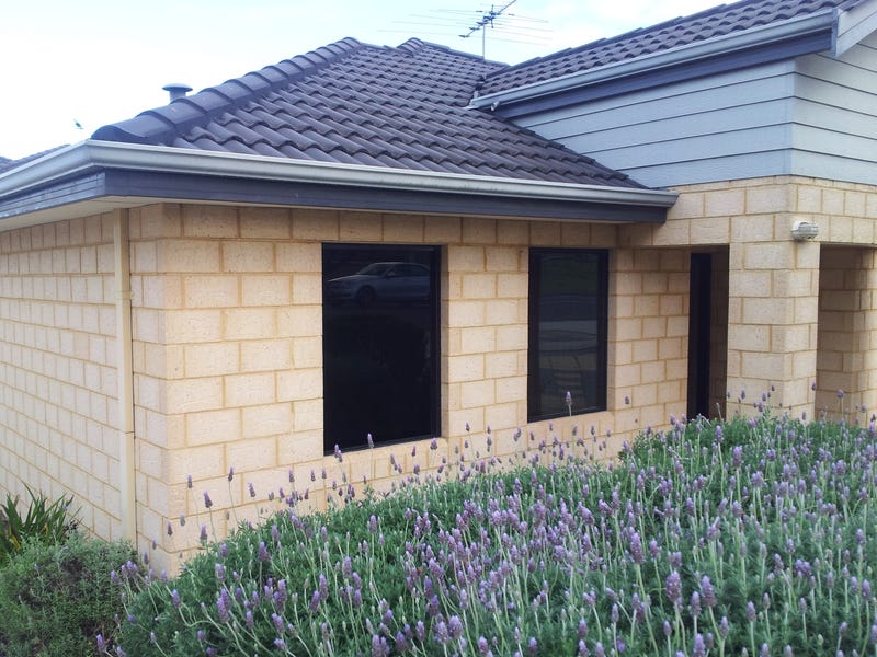 Front Duplex 2