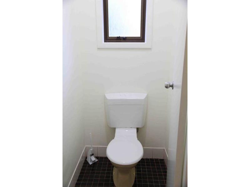 NEWLY RENOVATED WARM SUNNY HOME 7