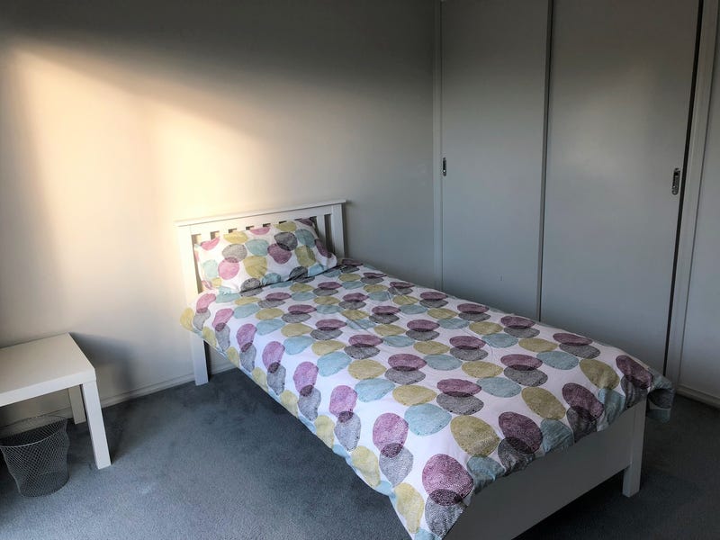 Great Family House for Rent 9