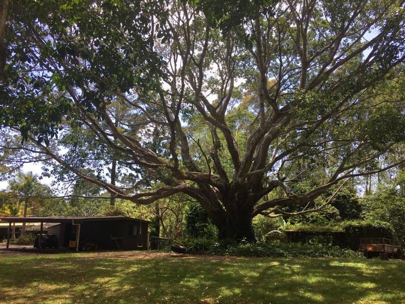Rural Bangalow Family Home 4