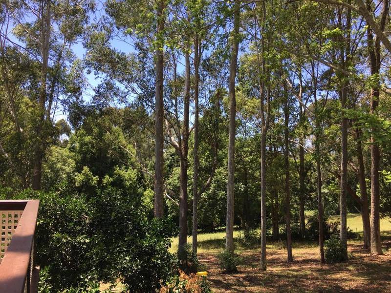 Rural Bangalow Family Home 7