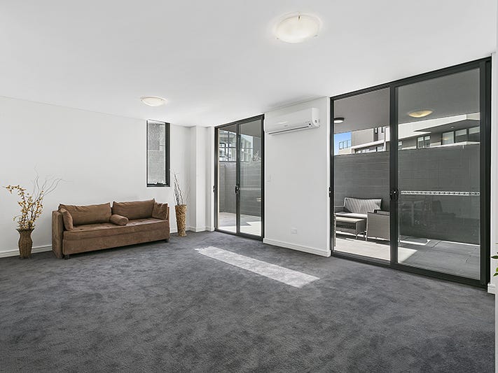 Brand New Courtyard Apartment 3