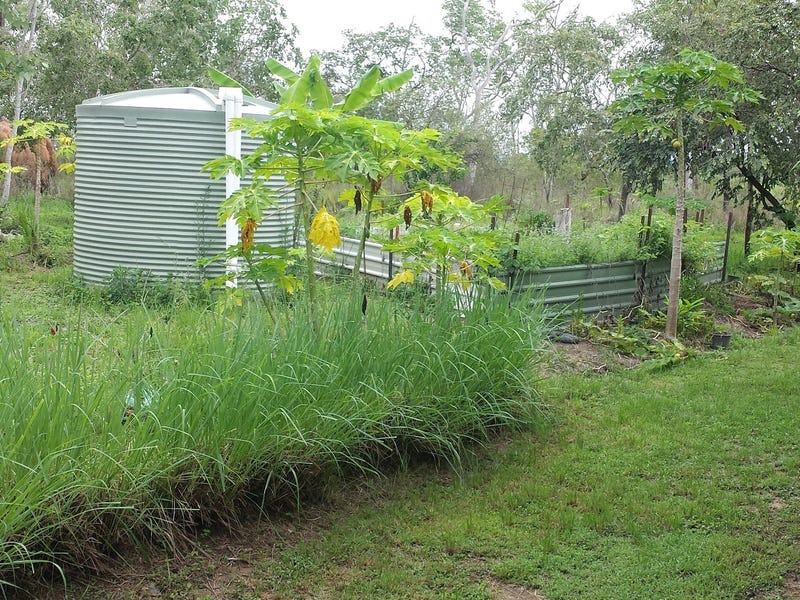 PEACEFUL RURAL LIFESTYLE 16