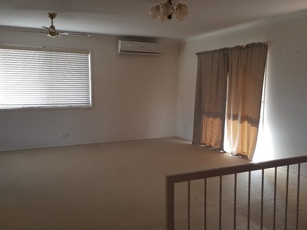 Newly Renovated 2 Kitchen + 11