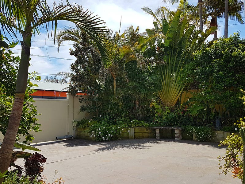 NORTH CURL CURL, BEACHSIDE, GARDEN 3