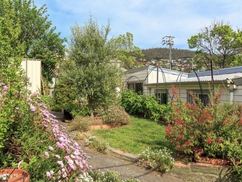 Sunny 3 Bedroom House, Pet 7