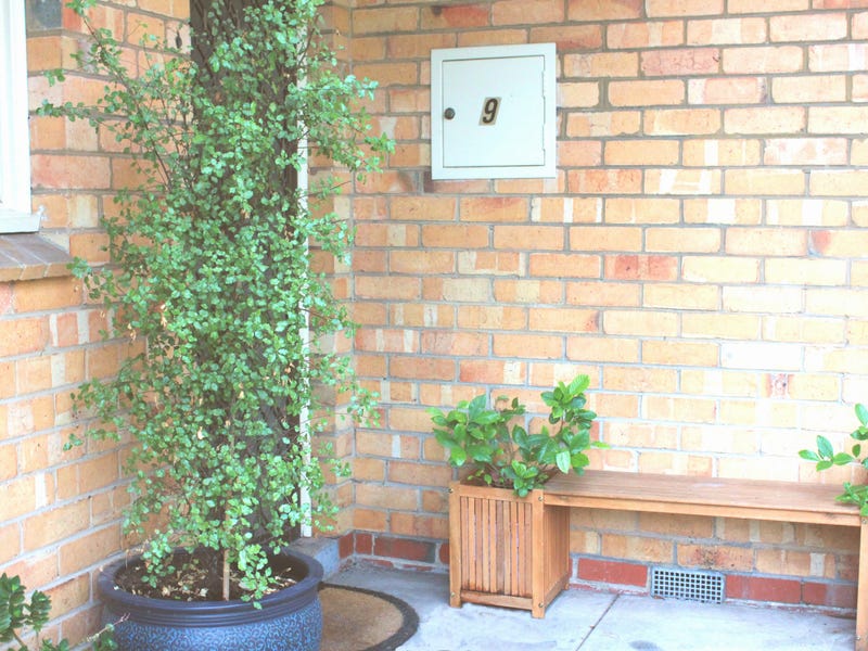 Fab 2bedroom St Kilda East 5