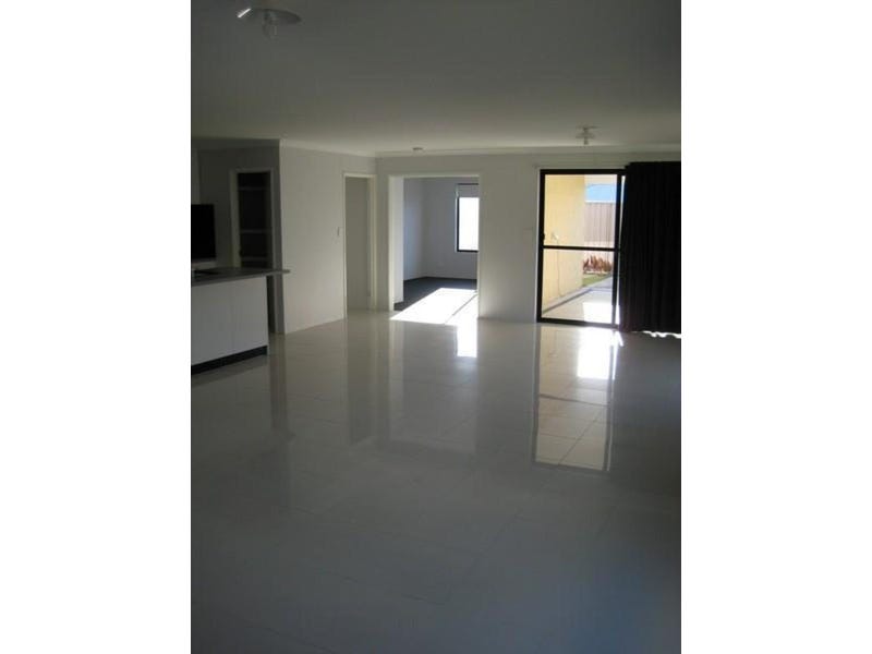 Pet friendly modern house