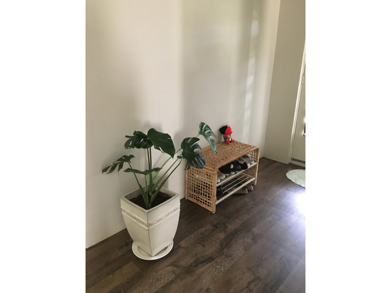 Single Room for Renting 6