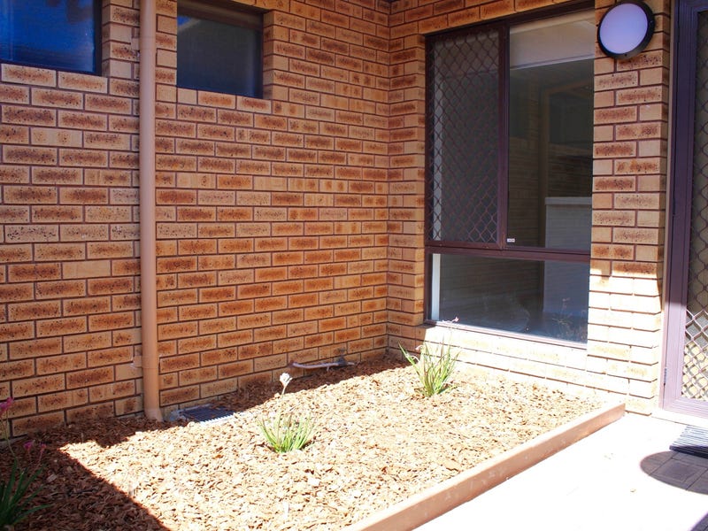 Newly renovated bright villa 2 14