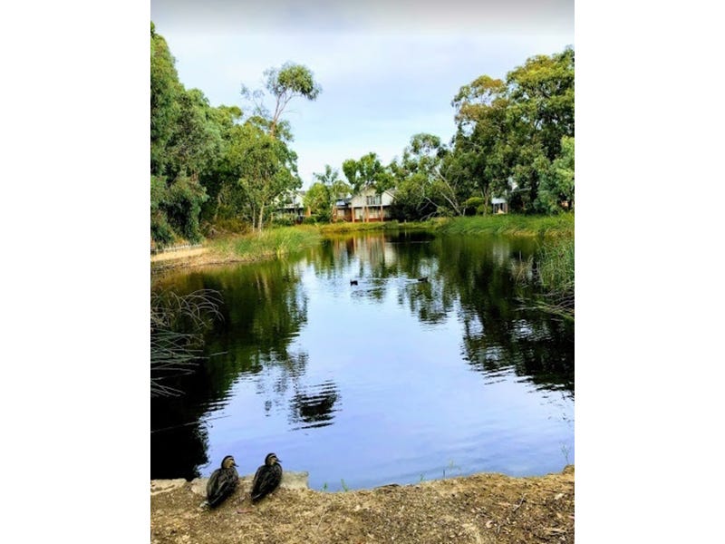 Lake View, Quiet, Primary and 2