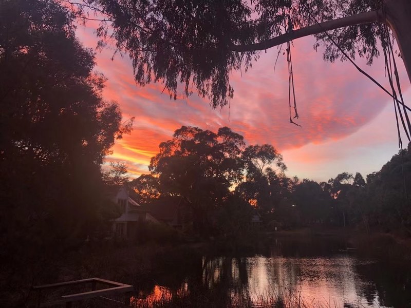 Lake View, Quiet, Primary and 7