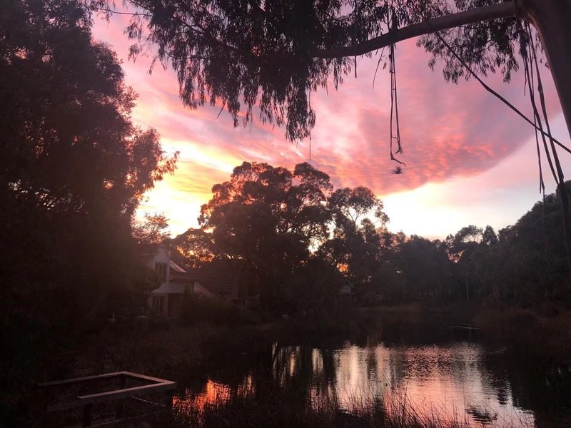 Lake View, Quiet, Primary and 33