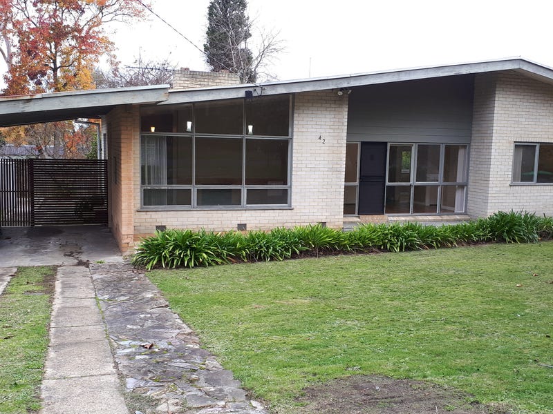 Light Filled Mid-Century Modern in Leafy Locale