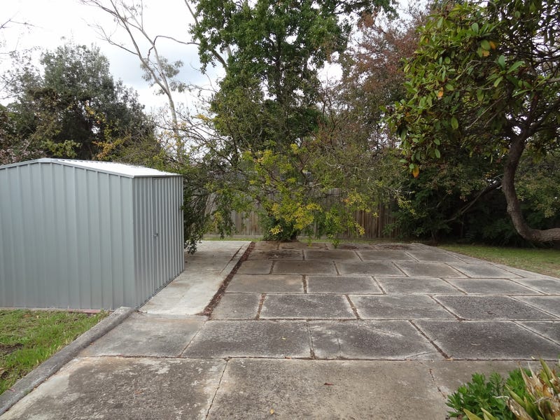 Light Filled Mid-Century Modern in 12