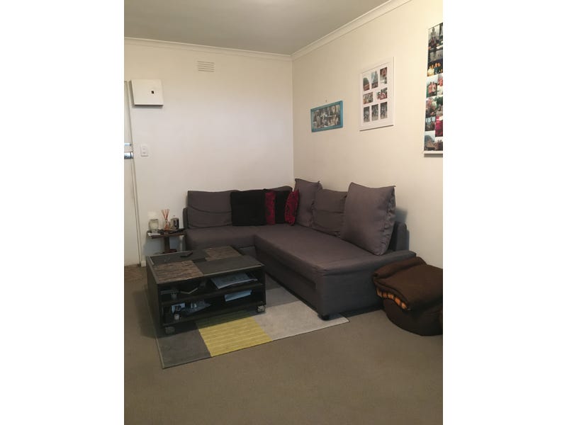 SPACIOUS QUIET 1 bedroom apartment