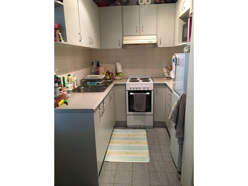 SPACIOUS QUIET 1 bedroom apartment 2