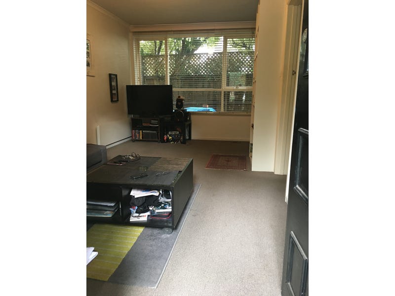 SPACIOUS QUIET 1 bedroom apartment 3