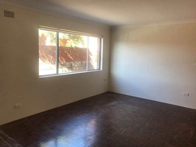 DEPOSIT TAKEN – Large Pet 3