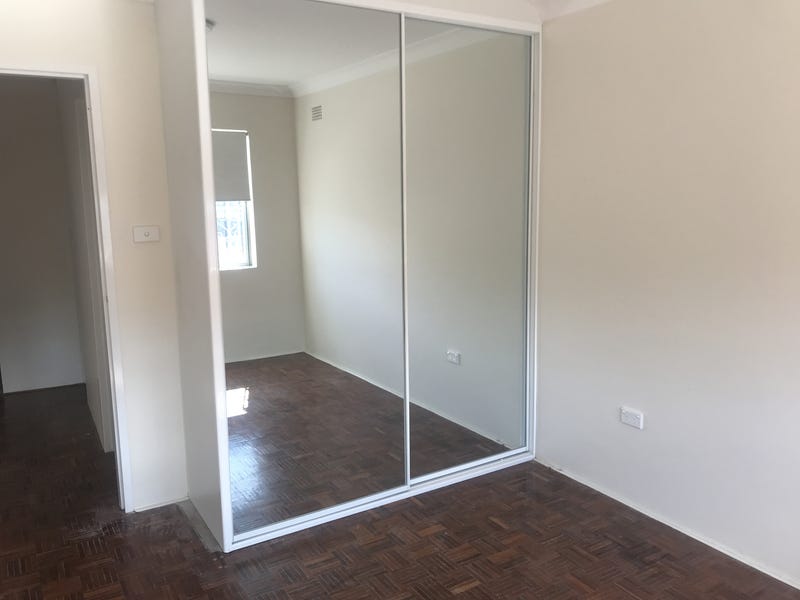 DEPOSIT TAKEN – Large Pet 4