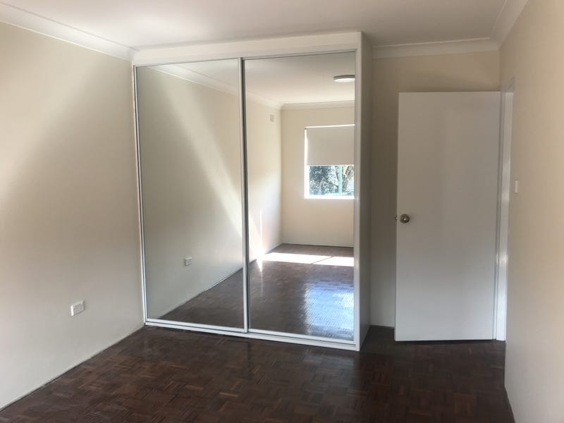 DEPOSIT TAKEN – Large Pet 5