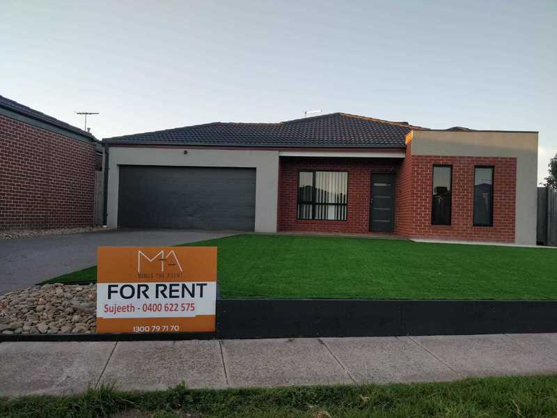 Newly Renovated House