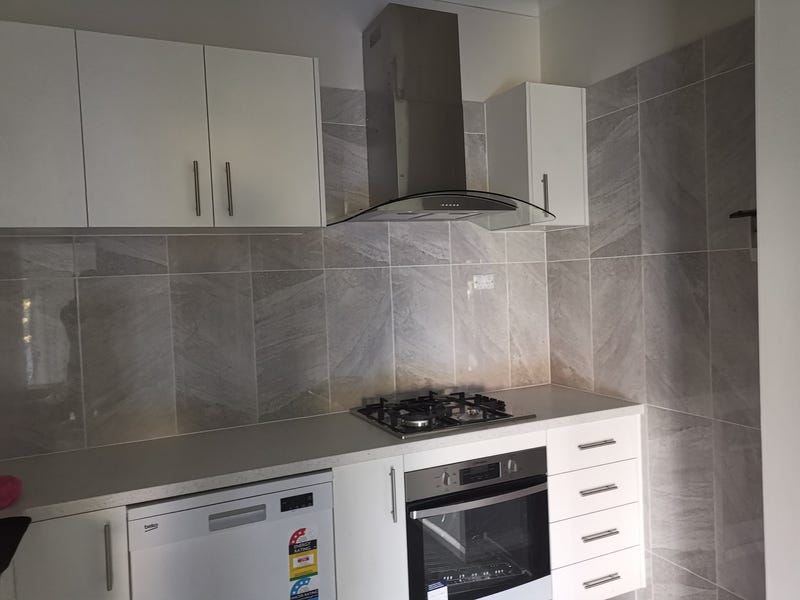 Spacious Fully Furnished House Plus 3