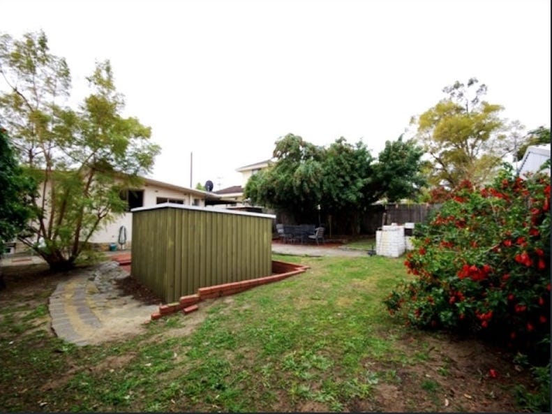 Pet Friendly House 6