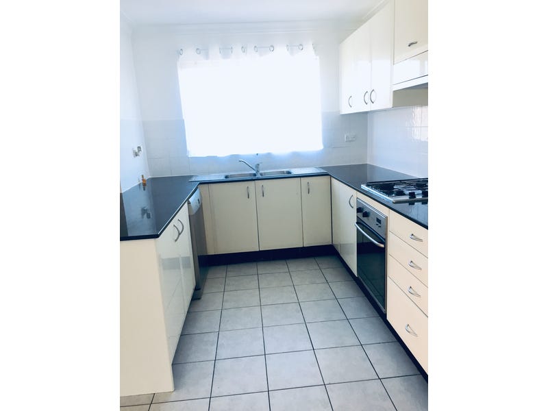 Spacious large Quiet Sunny Penthouse 3