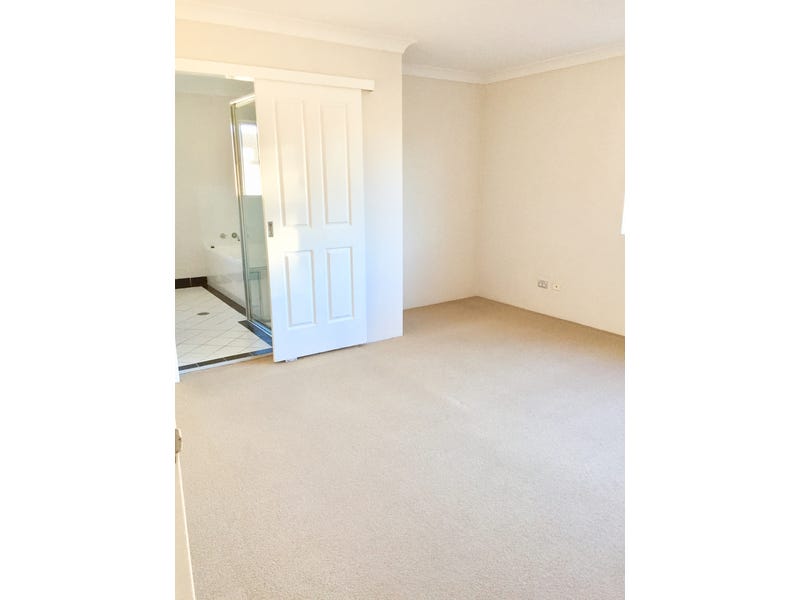 Spacious large Quiet Sunny Penthouse 5
